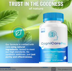 CogniCare Pro