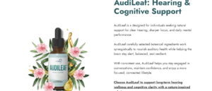 AudiLeaf 