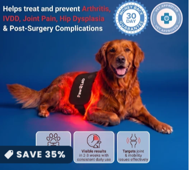 PawLab Red Light Pad