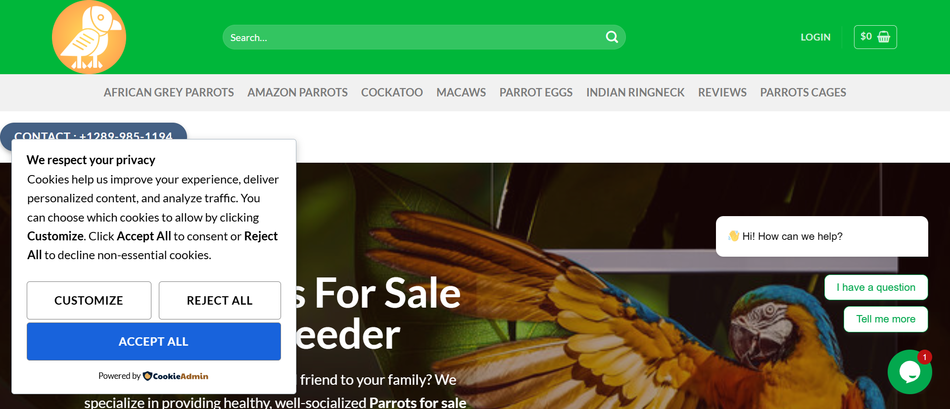 Parrotsforsale