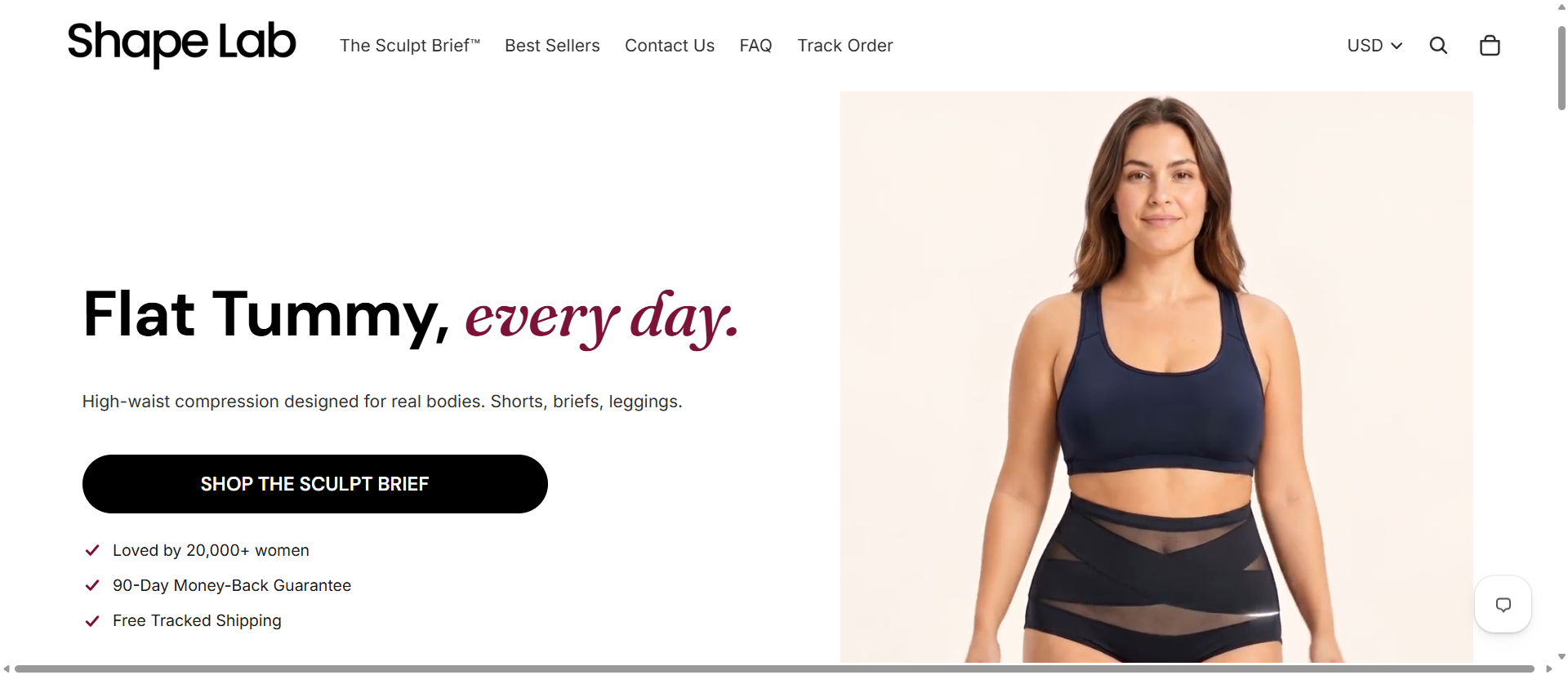 Shape Lab Sculpt Brief